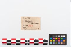 Etikett zu Bronzemehrkopfnadel (NHMW-PRAE-024558)